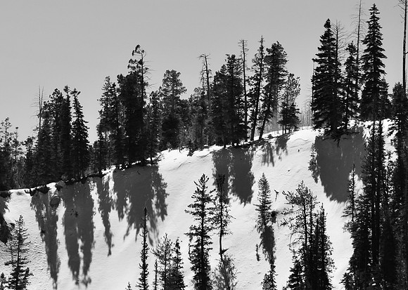 DSC_0150
