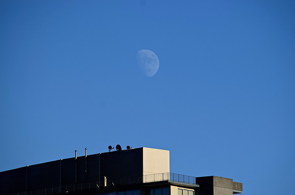 DSC_0042