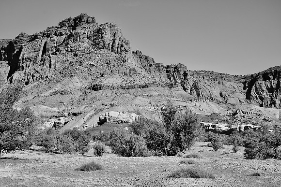 DSC_0359