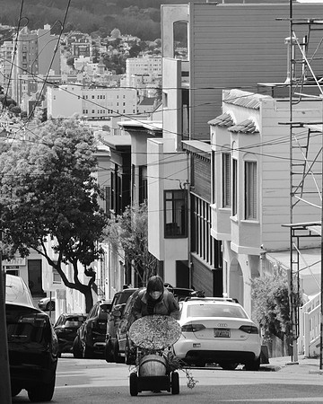 DSC_0010