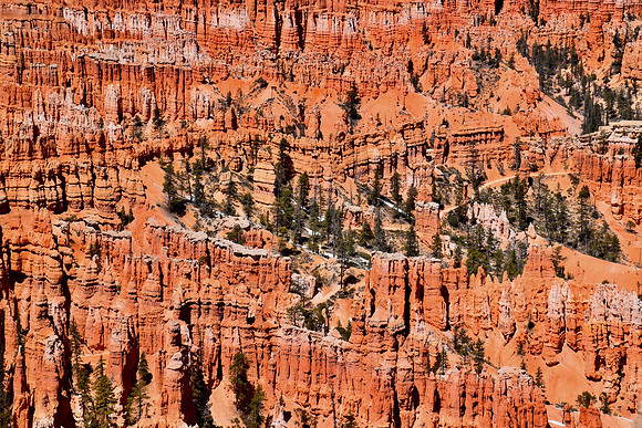 DSC_0243