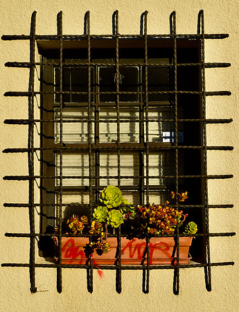 DSC_0047