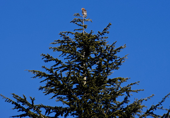 DSC_0057