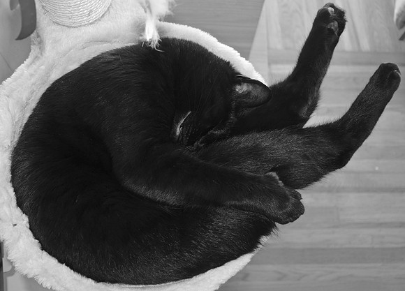DSC_0004 copy 2