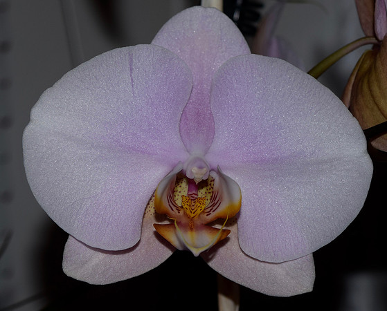 DSC_0011 (1)