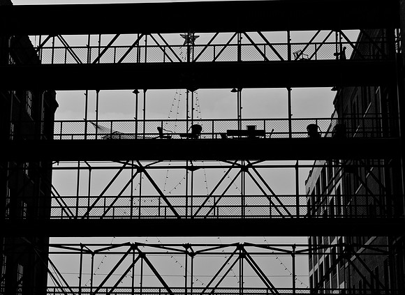 DSC_0243