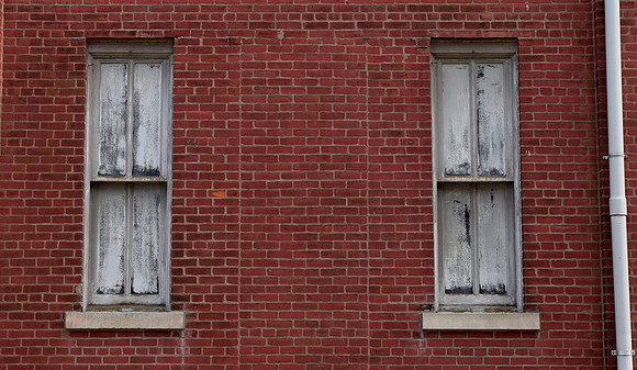 DSC_0244