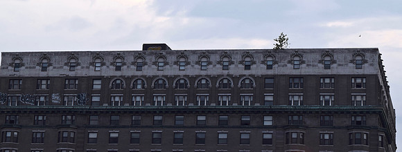 DSC_0469