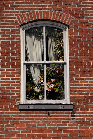 DSC_0305