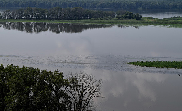 DSC_0331