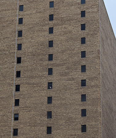 DSC_0479