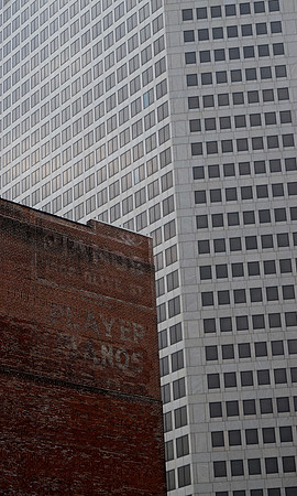 DSC_0481