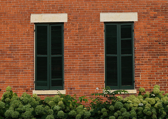 DSC_0291
