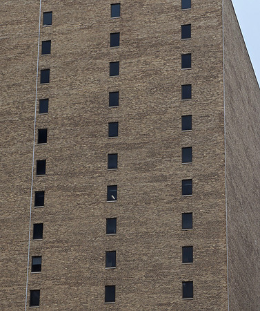 DSC_0479