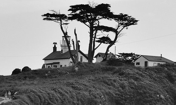 DSC_0228