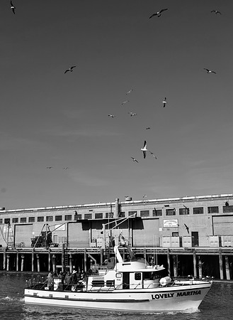 DSC_0053
