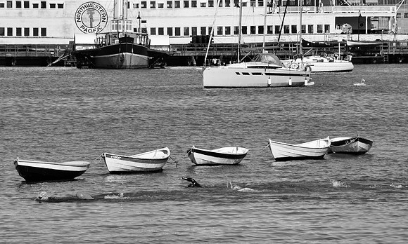 DSC_0041