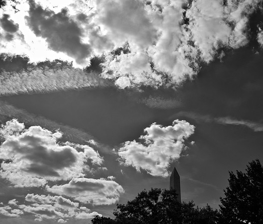 DSC_0238