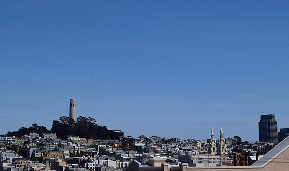 DSC_0014 (1)