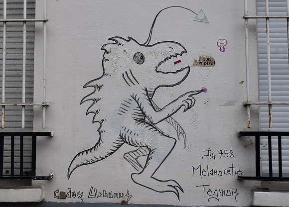 DSC_0545