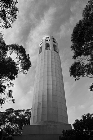 DSC_0091