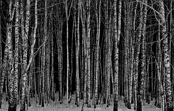 DSC_0067 (1)