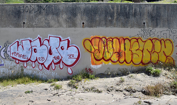 DSC_0153