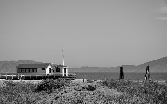 DSC_0201