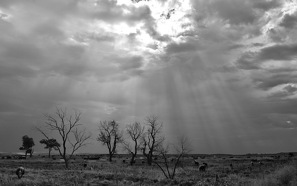 DSC_0104