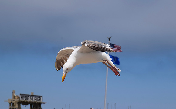 DSC_0041