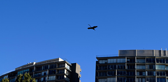 DSC_0141