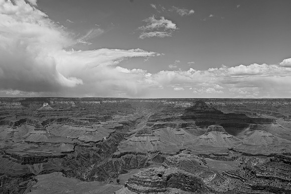 DSC_0019