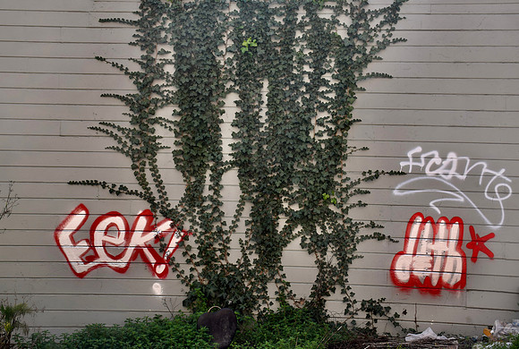 DSC_0055