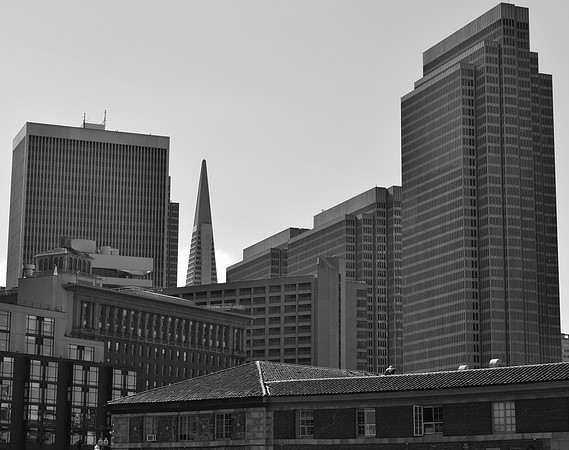 DSC_0051