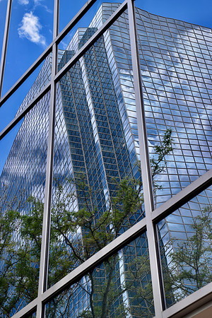 DSC_0811