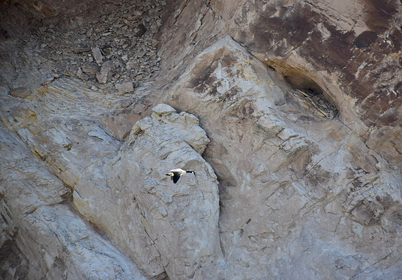 DSC_0901
