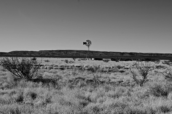 DSC_0147 (1)