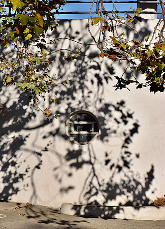 DSC_0159