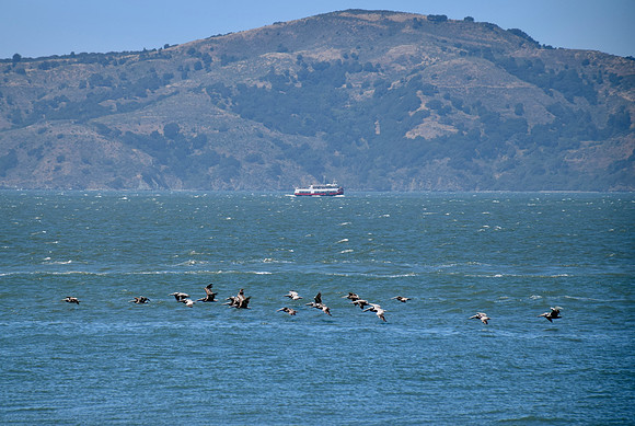 DSC_0055