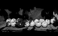 DSC_0024-3