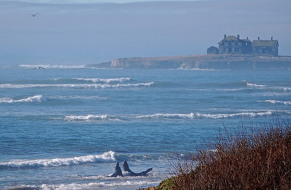 DSC_0004