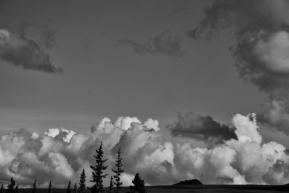 DSC_0364