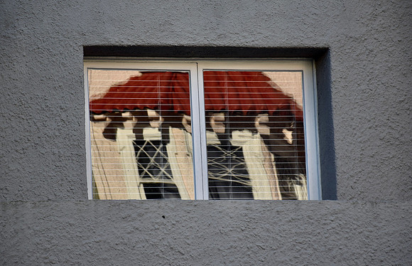 DSC_0029