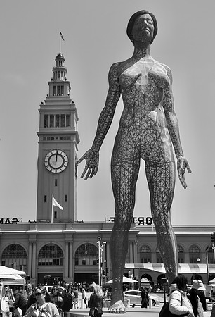DSC_0030