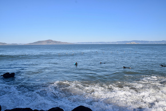 DSC_0052
