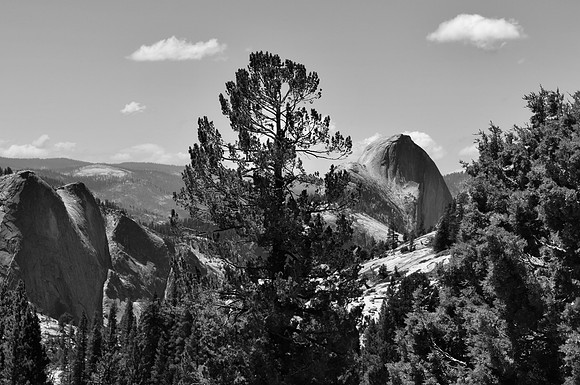 DSC_0032