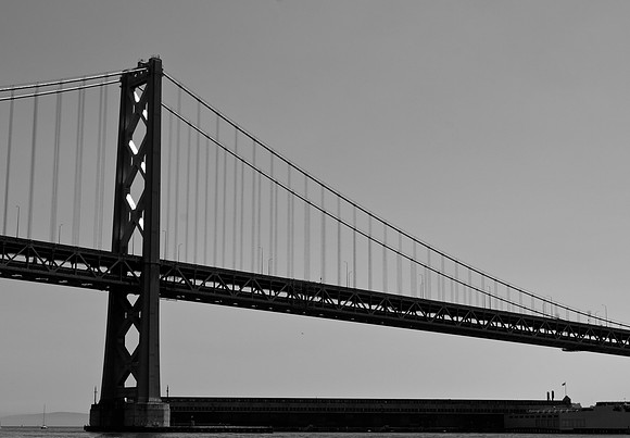 DSC_0222