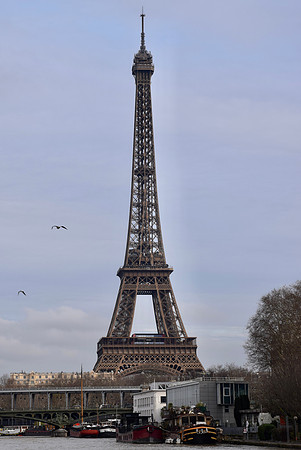 DSC_0344