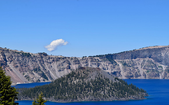 DSC_0561