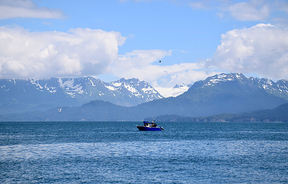 DSC_0774
